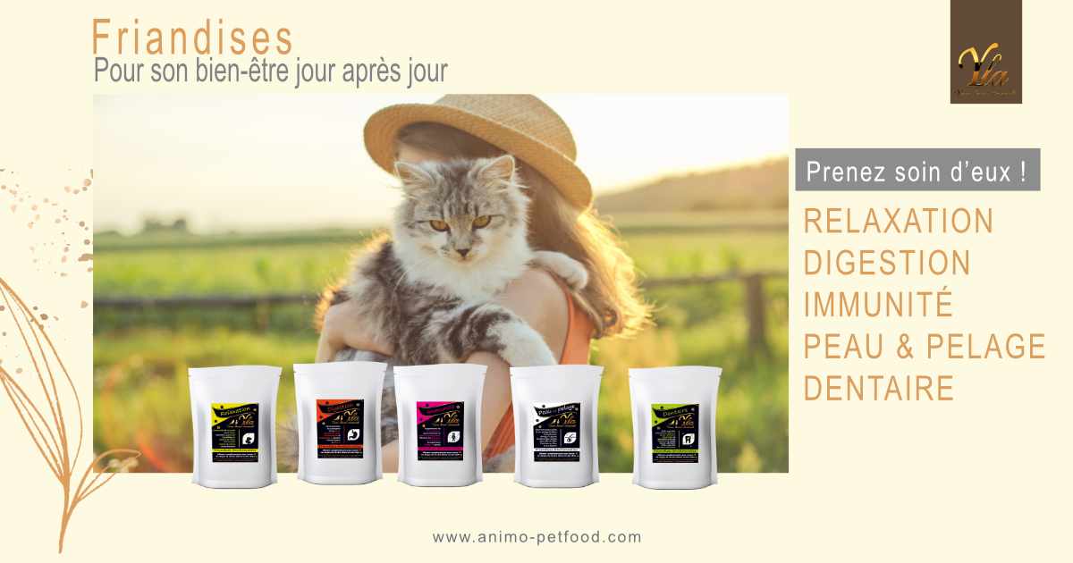 friandises-sans-cereale-ni-gluten-pour-chat